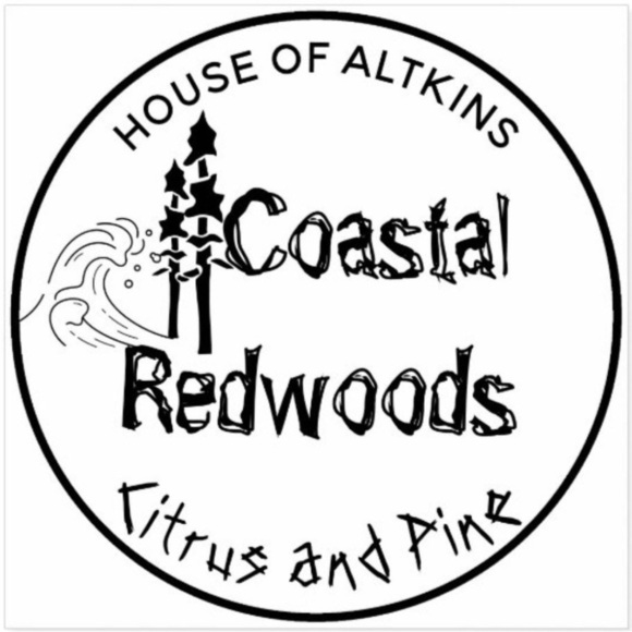 5 Pack Bath Bombs - Coastal Redwoods (Citrus & Pine) - Picture 3 of 3